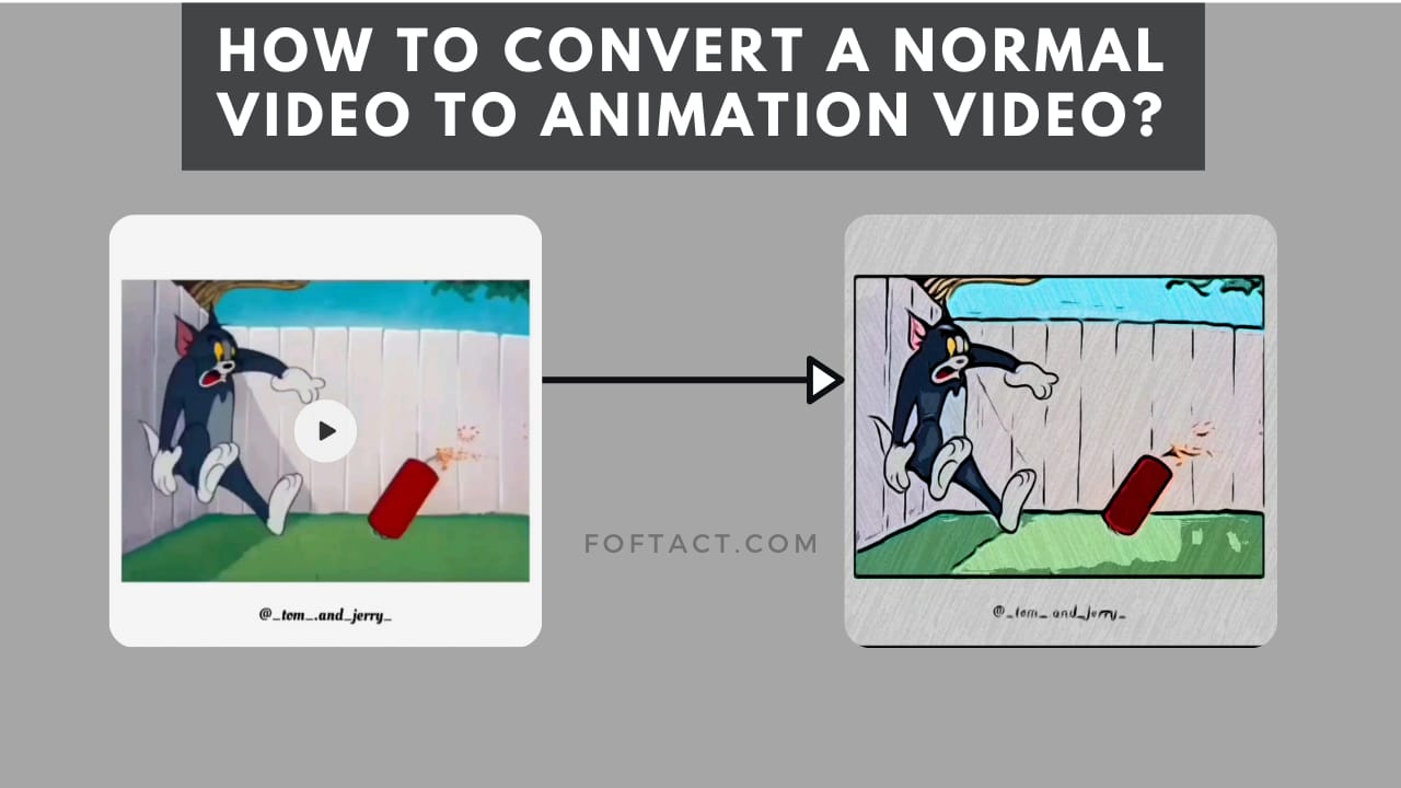 video to animation-foftact