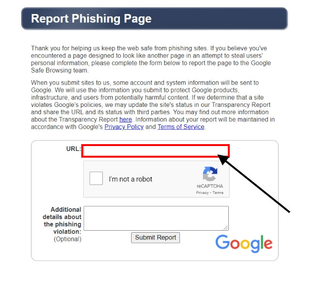 Google's safe browsing report page